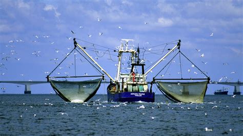 meer ueberfischung ueberfischung der meere meer natur planet wissen