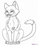 Cat Anime Draw Warrior Coloring Drawing Pages Animal Step Cute Drawings Cats Animals Biz Westinghouse Dog Dragoart sketch template