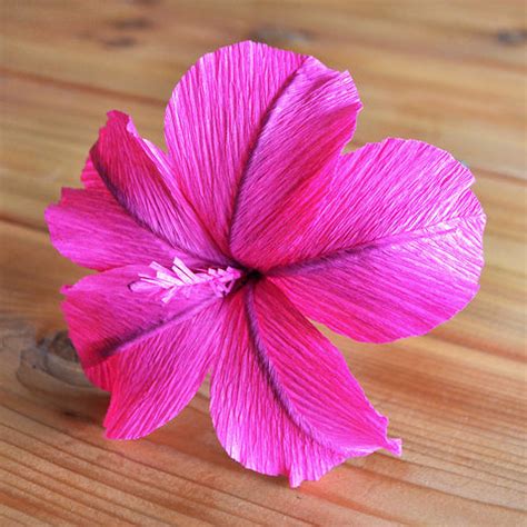 crepe paper hibiscus flower tutorial ta muchly paper blooms