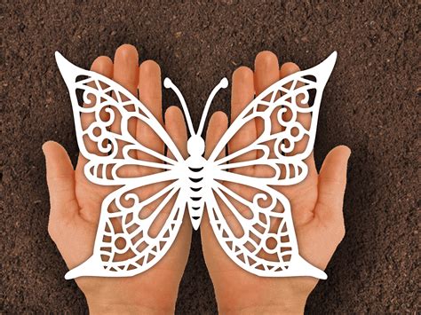 butterfly paper cut template  type graphic  johanruartist