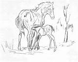 Horses Teenagers sketch template