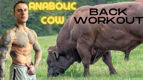Quick And Hardcore Workout For Solid Muscular Back Description Youtube