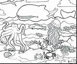Sea Coloring Creatures Pages Under Getdrawings sketch template