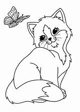Kleurplaten Kleurplaat Poesjes Dieren Poes Vlinder Katten sketch template