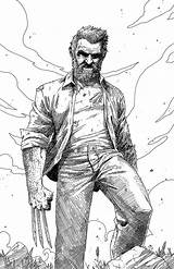 Logan Old Man Wolverine Comic Marvel Deviantart Choose Board sketch template