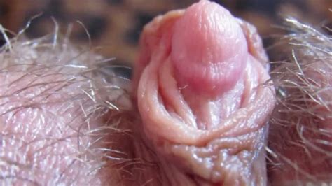 Hard Big Clitoris In Extreme Close Up Hd