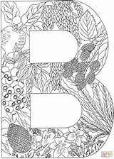 Coloring Letter Pages Letters Adult Printable Alphabet Nature Supercoloring Plants Color Colouring Clipart English Hard Sheets Choose Board Crafts Visit sketch template