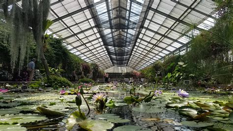 breathtaking greenhouse  kobe animal kingdom  kobe japan rgreenhouses
