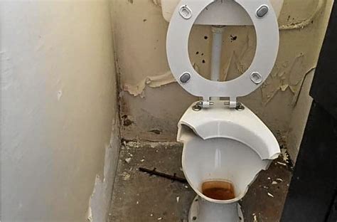 Vandalised Toilets Leave Den Looking Less Flush