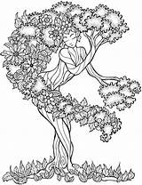 Coloring Pages Tree Ups Grown Goddess Life Adult Celtic sketch template