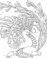 Coral Reef Reefs Corail Coloriage Coloriages Coloringpages Druckvorlagen sketch template