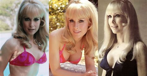 70 Hot Pictures Of Barbara Eden From I Dream Of Jeannie