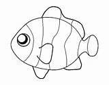 Clownfish Coloring Coloringcrew sketch template