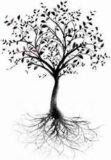 Tree Roots Silhouette Vector Life Clip Tattoo Library Root Transparent sketch template