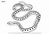 Draw Garter Snake Drawing Common Step Learn Improvements Necessary Finally Finish Make Paintingvalley Drawings sketch template