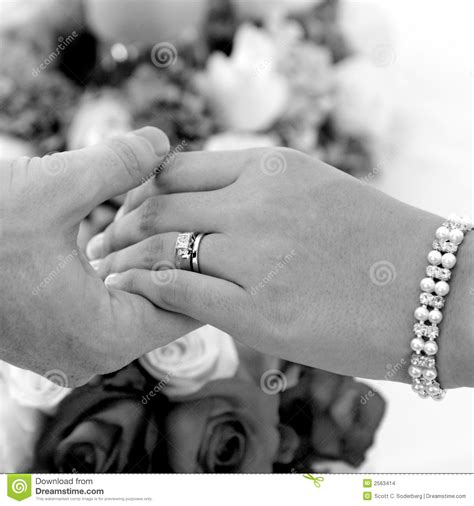 Bride And Groom Hands Stock Images Image 2563414