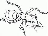 Ant Bestcoloringpagesforkids Ants sketch template