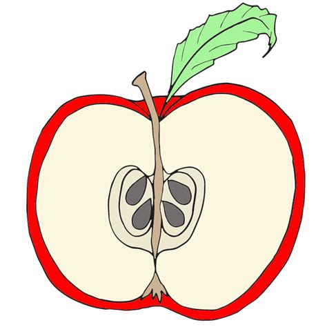 Clip Art Red Apple Clipart Wikiclipart