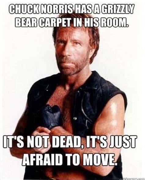 the top 20 funny viral videos of all time funny pix chuck norris facts chuck norris memes