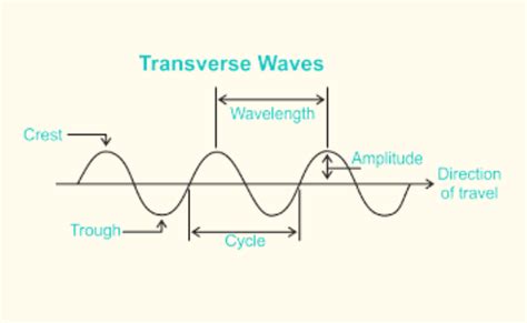 transverse waves examples diagram  properties