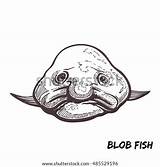 Fish Blob Coloring Pages Sketch Blobfish Outline Illustration Template Background sketch template