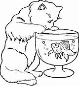 Cat Coloring Pages Kids Goldfish sketch template