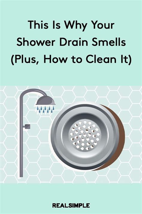 clean  shower drain  prevent   smelling shower