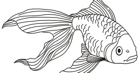 coloring pages tropical fish coloring pages pictures imagixs