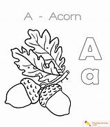 Acorn Coloring Date Sheet sketch template