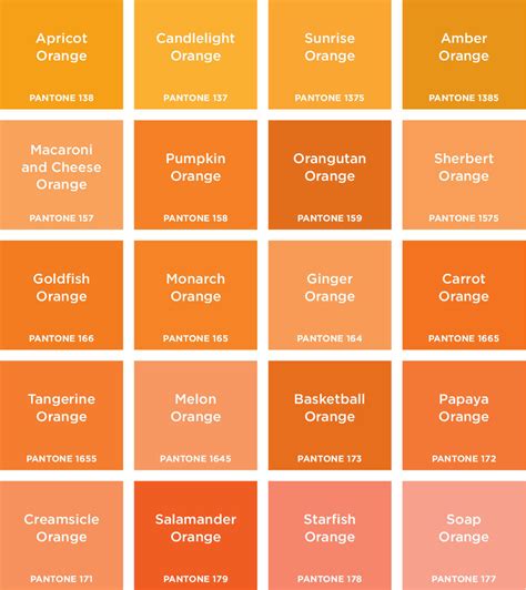 guest post geheime farblust  shades  orange nette hargreaves
