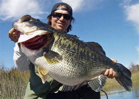 Expert Tips For Catching The Biggest Bass