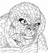 Croc Coloring4free Coloriages Printmania sketch template