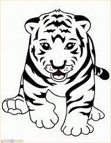 Harimau Mewarnai Tigers Marimewarnai Ausmalbild Malvorlagen Tk Cub Clipartmag Ausdrucken Malen Vorlage Paud Header3 sketch template