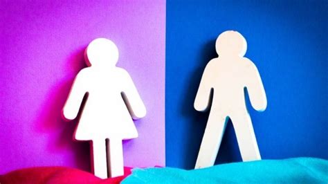Sexo Y Género La Importancia De Reconocer Y Diferenciar Estos Dos