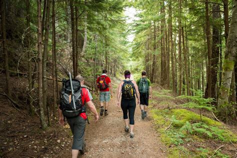 scientific evidence  powerful ways hiking alters  brain
