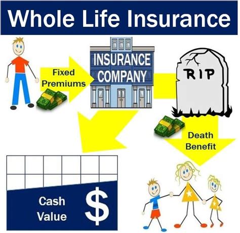life insurance definition  meaning market business news