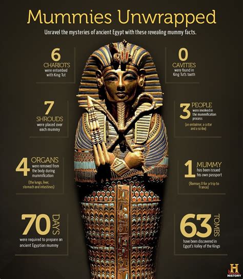 mummy facts infographic ancient egypt and nubia ancient history