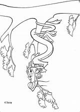 Mushu Coloring Pages Mulan Incense Burner Dragon Getdrawings Squirrelly Coloriage Getcolorings sketch template