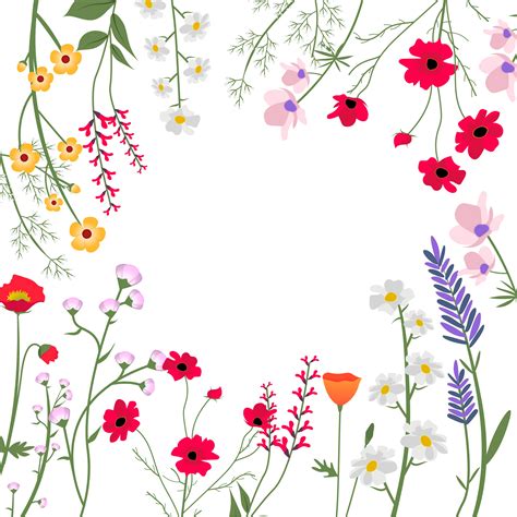 wild flowers vector illustration   vectors clipart