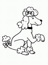 Coloring Poodle Pages Poodles Cartoon Paw Popular Getdrawings Drawing Coloringhome sketch template