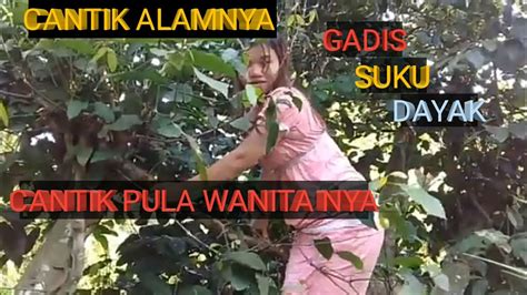 Kehidupan Sehari Hari Gadis Dayak Di Pedalaman Kalimantan~cantik Alam