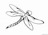 Dragonfly Dragonflies Coloring4free Libelulas Dragon Flying Cartoon Clipartmag sketch template