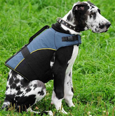 adjustable nylon vest  great dane great dane breed dog harness great dane dog muzzle