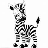 Zebra Coloring Getcolorings sketch template