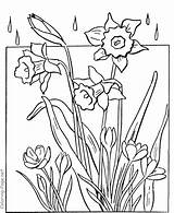 Coloring Spring Pages Flowers Flower Printable Kids Rainy Adults Drawing Sheets Pretty Book Rain Colouring Color Clipart Print Colors Tulip sketch template