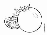 Coloring Pomegranate Kids Pages Colouring Fruit 4kids Printable sketch template