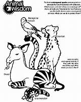 Endangered Pages Animals Coloring Getcolorings Species sketch template