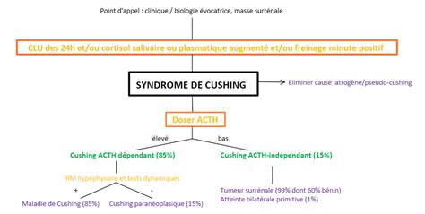 Syndrome De Cushing Hypercorticisme Symptômes étiologies Pec