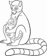 Lemur Coloring Tailed Ring Color Printable Pages Getcolorings Getdrawings sketch template