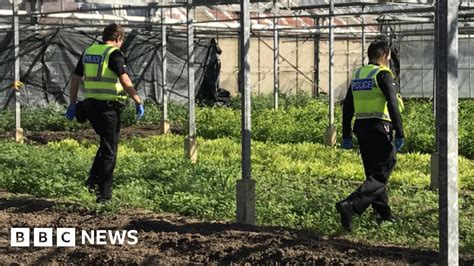 suspected slaves rescued in raid on cambridgeshire farm bbc news